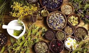 Herbs that boost the power